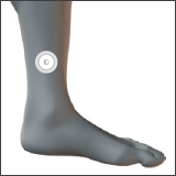 LifeWave® SP6 Complete Patches - Spirit of Health Store